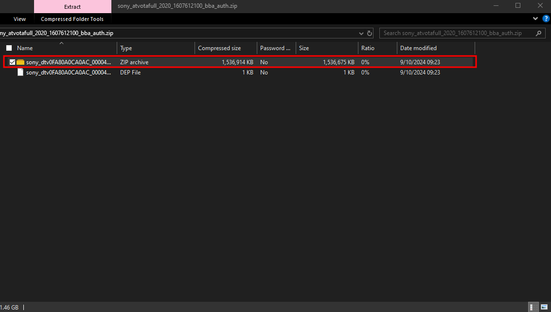 1stZip File Extraction.png